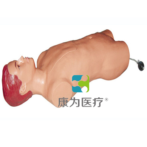 广东“康为医疗”股动脉穿刺模拟人,股动脉穿刺模型