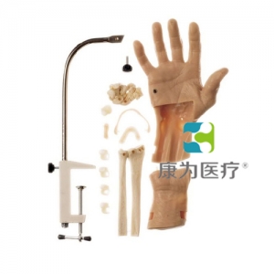 浙江“康为医疗”腕关节镜检查模型,腕关节镜检查操作模型 Wrist Arthroscopy Model