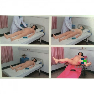 福建“康为医疗”孕妇产科检查-高仿真模拟训练系统 V1.0