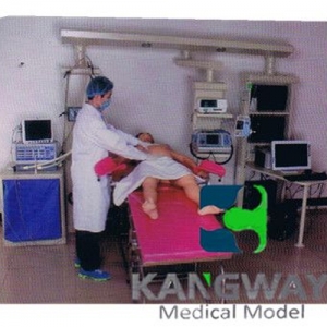 “康为医疗”产妇-高仿真标准化病人实训系统 V1.0