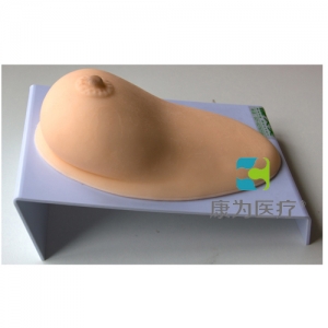 浙江“康为医疗”女性乳房模型（假乳模型）