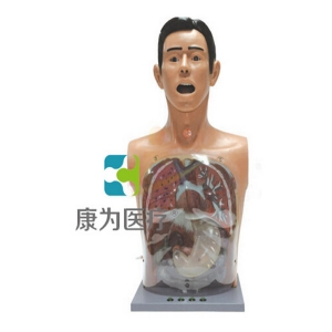 浙江“康为医疗”高级透明洗胃训练模型