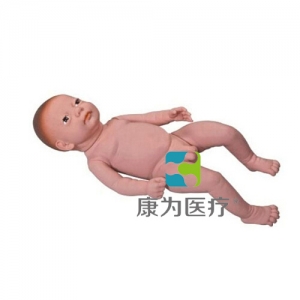 “康为医疗”高级足月胎儿模型（男婴、女婴任选）