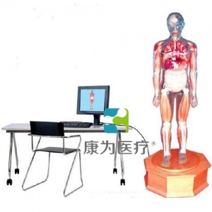 福建“康为医疗”多媒体解剖学教学综合模拟示教人