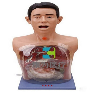 “康为医疗”带警示透明洗胃模型(电子报警）
