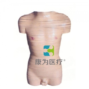 浙江“康为医疗”男性躯干横断断层解剖模型