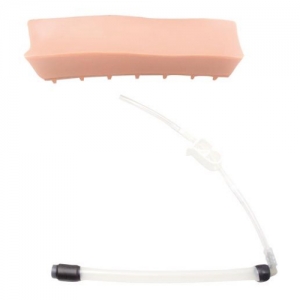 浙江德国3B Scientific®老年人LOR(无阻力)腰椎插件，用于硬膜外脊椎注射训练模型